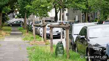 Darum setzt Rees keine Wassersäcke für Straßenbäume ein - NRZ News