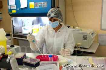 Un cambrioleur oublie de tirer la chasse d'eau en partant, il est confondu par son urine et un poil pubien