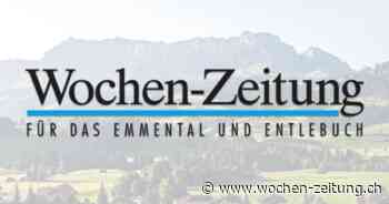 Lions siegen gegen NLB-Team - Wochen-Zeitung