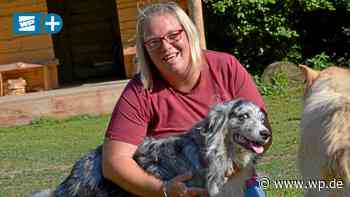 Siegen: Tierexpertin verrät den wichtigsten Trick für Hunde - WP News