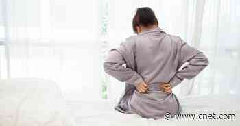 Best Exercises for Lower Back Pain     - CNET