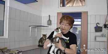 "Ich kann die Hunde ja nicht stapeln" - Nürnberger Land, Feucht - NN.de