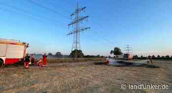 BRUCHSAL | Flächenbrand in der Werner-von-Siemens-Straße | 00 - STARTSEITE - Landfunker