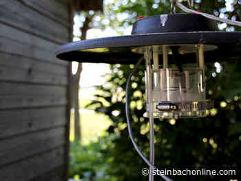 Mosquito counts on the rise in Steinbach - SteinbachOnline.com - Local news, Weather, Sports, Free Classifieds and Job Listings for Steinbach, Manitoba - SteinbachOnline.com