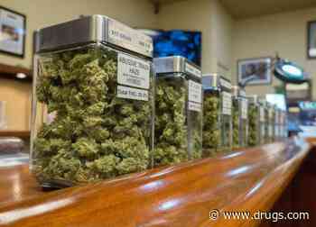 Baseline Knowledge Uneven Among Cannabis Dispensary Personnel