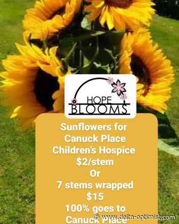 Delta family growing a donation in honour of their son - Delta Optimist