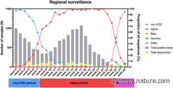 Infections with the SARS-CoV-2 Delta variant exhibit fourfold increased viral loads in the upper airways compared to Alpha or non-variants of concern | Scientific Reports - Nature.com