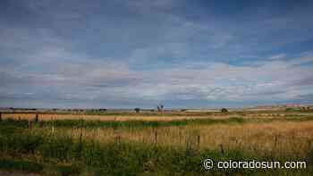 Delta County says "shear thing" to solar project amid grazing sheep - The Colorado Sun