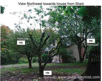 Development planned for River Road site used as dump - Delta Optimist