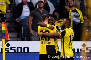 BSC Young Boys, het Club Brugge van Zwitserland dat op zoek is naar eerherstel - Sportmagazine Voetbal