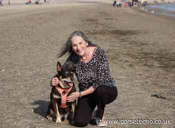 Cheers to a sizzlin' day of sausages, cider and dogs - Dorset Echo
