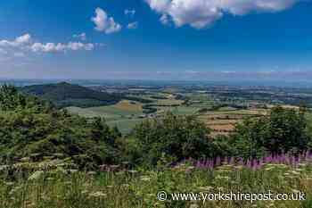 Large fire breaks out in woodland on Sutton Bank in the North York Moors - The Yorkshire Post