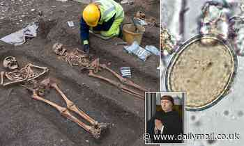 Medieval friars twice as likely to be riddled with intestinal parasites as townspeople