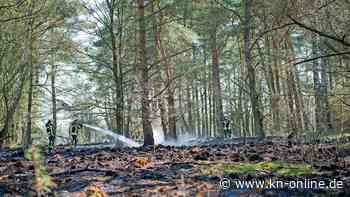 Hunderte Einsatzkräfte bekämpfen simulierten Waldbrand im Segeberger Forst - Kieler Nachrichten