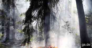 Bonn: Luft- und Raumfahrtzentrum meldet 45 größere Waldbrände seit Juli​ - General-Anzeiger Bonn