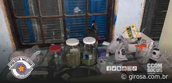 ​Cotia: PM localiza plantação secreta de maconha em chácara localizada no Parque Rincão - Giro S/A