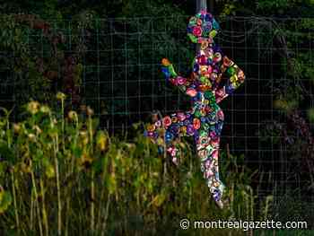 English is rising in Vaudreuil-Soulanges — and declining in Westmount: census - Montreal Gazette