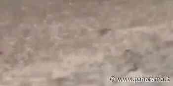 Maltempo: grandine ed alluvione a Bardi (Parma) | video - Panorama