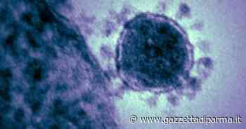 Un decesso e 316 nuovi contagi a Parma nelle ultime 24 ore - Gazzetta di Parma