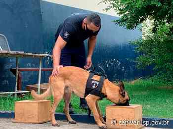 Guarda Civil de Capivari anuncia retomada do programa “Escola Mais Segura” - Prefeitura de Capivari (.gov)