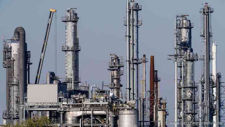 Investitionen: Verband: Forschungsetats in der Chemie stagnieren - Wissen - Bietigheimer Zeitung