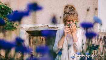 Wie sehen glückliche Menschen aus? Eine Suche in den Alpen - DER SPIEGEL