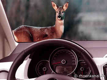 Bischofsheim - Erst Schaden begutachtet und dann Wildunfall gemeldet - Rhönkanal