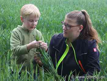 Gütersloh, Landwirtschaft entdecken, Sommertreff Hof Westermeyer am Sonntag, 21. August 2022, Verl, Gütsel Online, OWL live - Gütsel