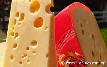 Queijos de Ivoti são premiados em concurso estadual - Jornal VS