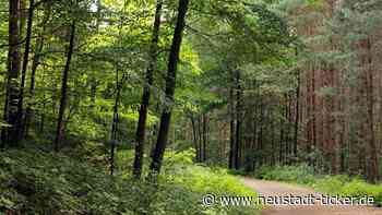 Ab Donnerstag: Heide gesperrt - Neustadt-Geflüster - Neustadt-Geflüster
