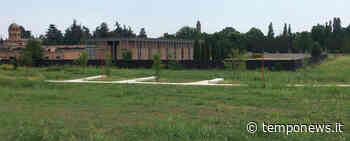 “A Carpi anziché piantare alberi, si seminano colori e odori” - Temponews - COOPERATIVA RADIO BRUNO srl