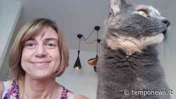 Storie di gatti, un libro per sostenere il Gattile di Carpi - Temponews - COOPERATIVA RADIO BRUNO srl