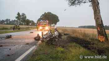 Crash gegen Baum! Biker-Tod im Heide-Idyll - BILD