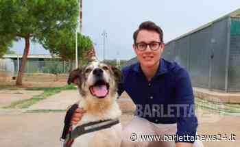 Grimaldi contro gli abbandoni estivi e l'invito ad adottare - BarlettaNews24