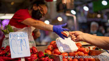 Verbraucherpreise: ZEW-Umfrage: Finanzexperten erwarten Euro-Inflation von 7,5 Prozent