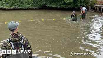 Hundreds of fish saved from Abbey Fields lake to fishery
