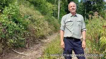 Forstrevier in Sulz - Die Tage der Fichte sind gezählt - Schwarzwälder Bote