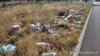"Io, turista a Bari, nauseato dai rifiuti abbandonati in strada: è un oltraggio all'ambiente e alla libertà" - La Repubblica