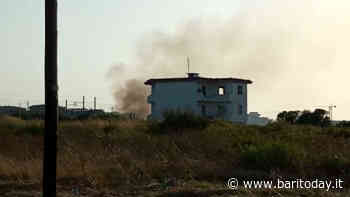 Incendio nei pressi di un edificio abbandonato, fumo nero sul lungomare sud - BariToday