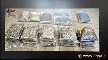 Droga e candelotti esplosivi scoperti dai Carabinieri a Bari - Agenzia ANSA