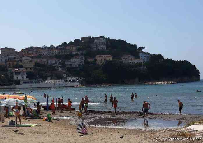 Agropoli, posidonia in spiaggia: turisti puliscono l'arenile con vanghe e carriole - Cronache Salerno