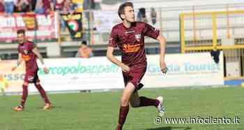 Mercato: annunci per Agropoli e Gelbison - Info Cilento