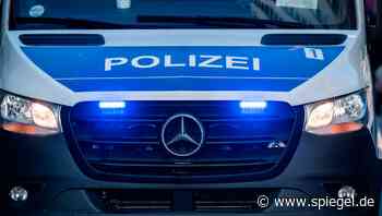 Rathenow: Betrunkener will Ungeziefer mit Gas bekämpfen und verursacht Explosion - DER SPIEGEL