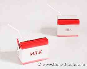 Weekly global protein digest: US schools and milk, consumer inflation - www.thecattlesite.com