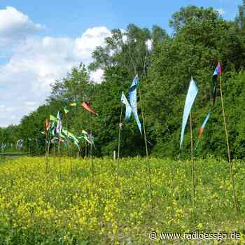 Essen: Hier sind die Flüsse und Bäche ausgetrocknet - Sorgen an Ruhr und Emscher - Radio Essen
