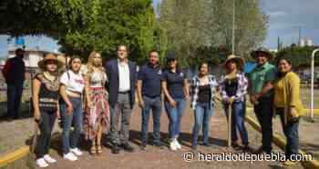 Ayuntamiento de San Andrés reforesta en Tlaxcalancingo - El Heraldo de Puebla