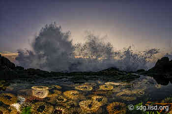 Event: High-level Symposium on Water | SDG Knowledge Hub | IISD - IISD's SDG Knowledge Hub