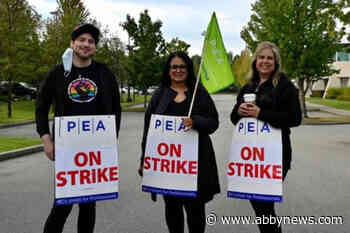 B.C. Professional Employees Association Issues Strike Notice, Calls For Inflation Protection - Abbotsford News