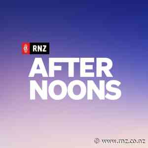 Solving the World's Problems with Dave Armstrong - RNZ