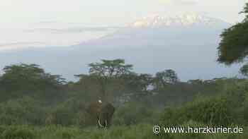Schnelles Internet am Kilimandscharo für Instagram-Fotos - HarzKurier